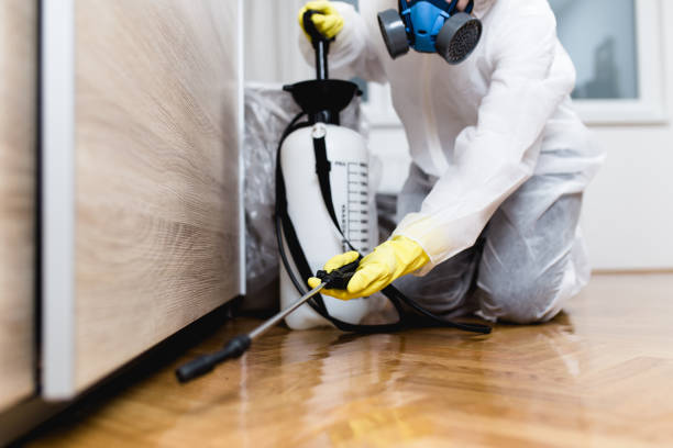 Pest Control Cost in Navajo, NM