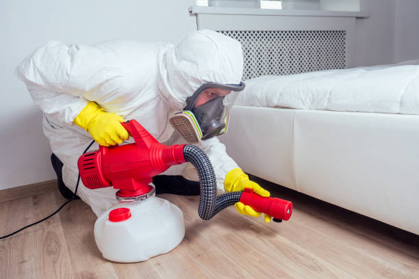 Best Wasp Removal Services  in Navajo, NM