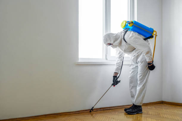 Best Termite Control Services  in Navajo, NM
