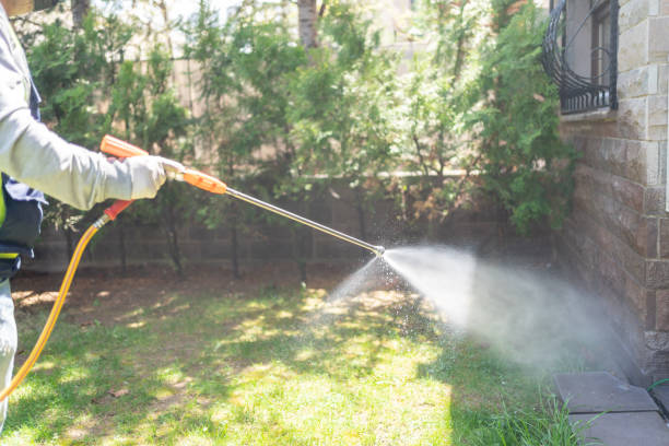 Best Local Pest Control Services  in Navajo, NM