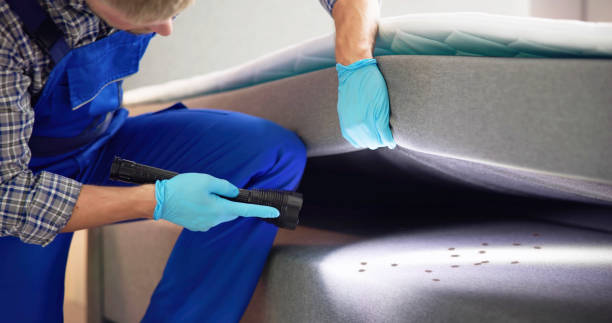 Best Affordable Pest Control Services  in Navajo, NM