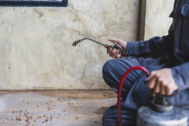 Best Cockroach Control Services  in Navajo, NM